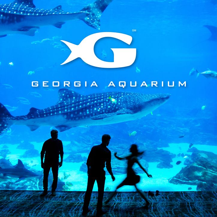 Aquarium Case Study James Dunckley